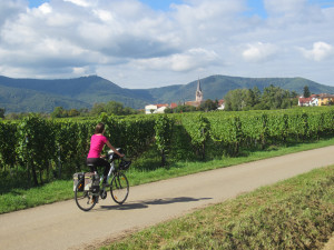 Alsace à vélo3