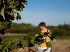 Bourgogne à vélo