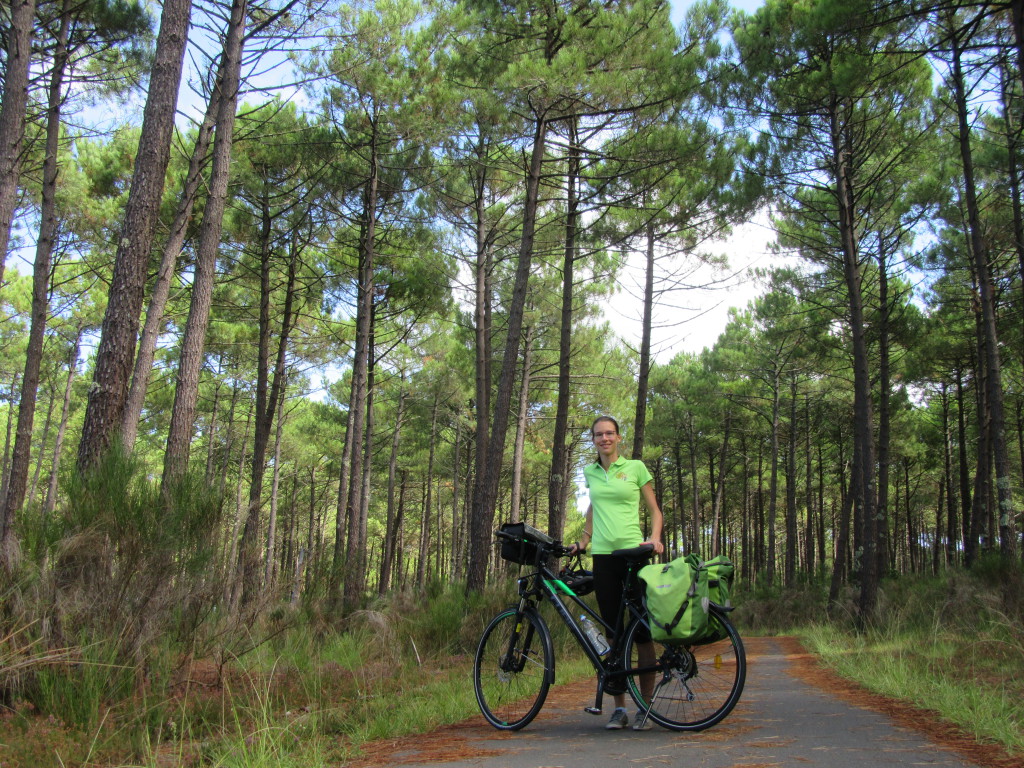 landes à vélo entre arcachon et biarritz-forêt