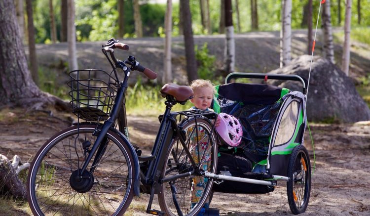 Maxxus Remorque Poussette pour vélo enfant avec kit piéton
