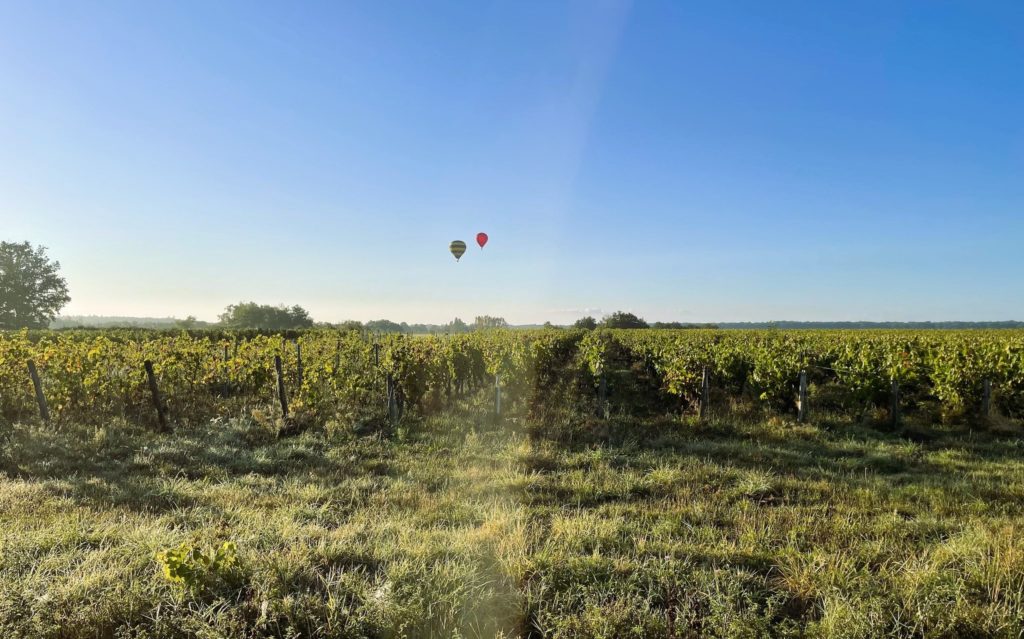 Vol de montgolfières au-dessus des vignes