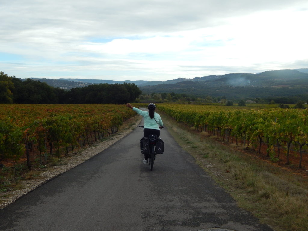cycliste sur une route en Provence