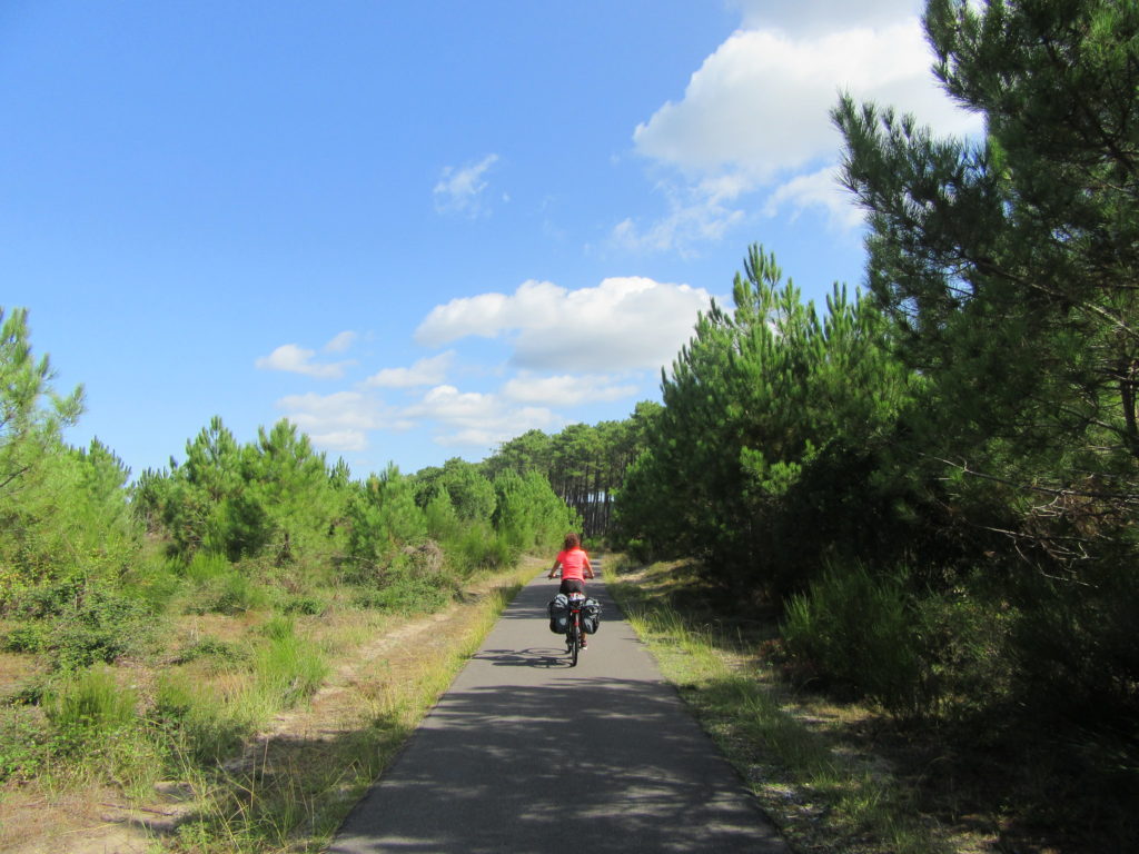 cycliste sur piste cyclable dans les Landes