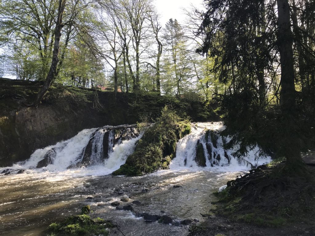 Cascade dans forêt