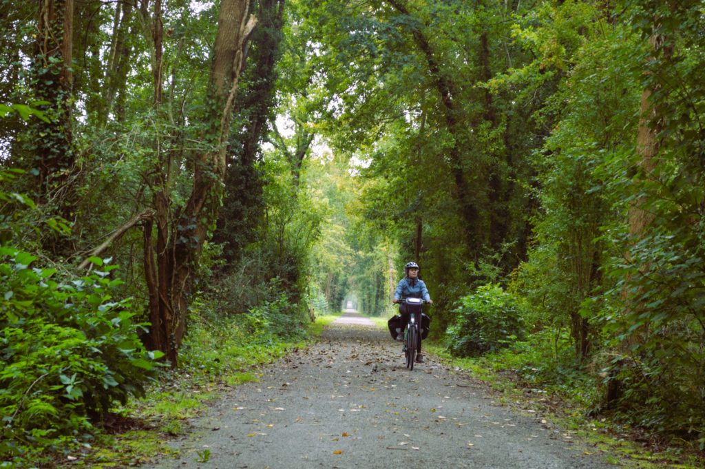 cycliste dans forêt