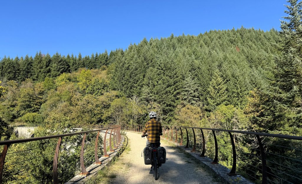 cycliste sur voie verte dans forêt