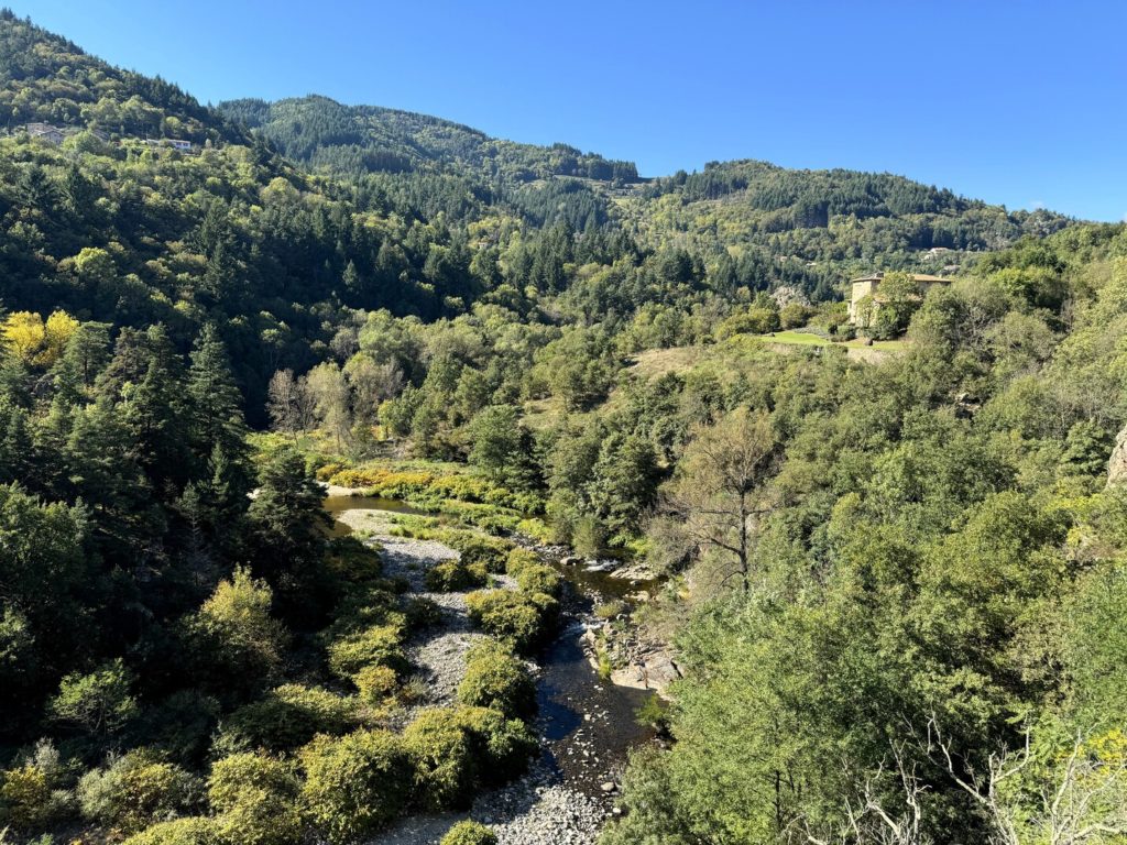 rivière et forêt